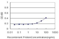 VPS18 Antibody (2G10), Novus Biologicals 100 &mu;g | Buy Online | Novus Biologicals | Fisher Scientific