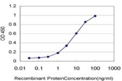 Novus Biologicals VPS8 Antibody (2C8), Novus Biologicals 0.1 mg | Buy Online | Novus Biologicals&trade; | Fisher Scientific