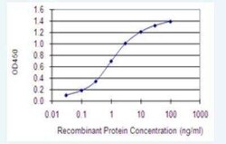 WDHD1 Antibody (2F10), Novus Biologicals 100 &mu;g | Buy Online | Novus Biologicals | Fisher Scientific