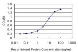 WDR5 Antibody (2C2), Novus Biologicals 0.1 mg, Unconjugated:Antibodies,