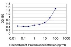 XAB2 Antibody (1D1-1A9), Novus Biologicals 0.1 mg | Buy Online | Novus Biologicals | Fisher Scientific
