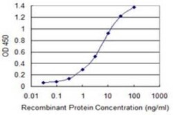 XAGE2 Antibody (4C4), Novus Biologicals 0.1 mg | Buy Online | Novus Biologicals | Fisher Scientific
