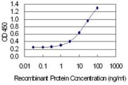 XPA Antibody (2E4), Novus Biologicals 0.1 mg | Buy Online | Novus Biologicals | Fisher Scientific