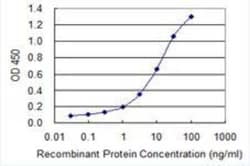 XPR1 Antibody (2G8), Novus Biologicals 0.1 mg | Buy Online | Novus Biologicals | Fisher Scientific