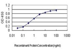 YY1 Antibody (2C4), Novus Biologicals 0.1 mg | Buy Online | Novus Biologicals | Fisher Scientific