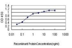YY1 Antibody (2C5), Novus Biologicals 0.1 mg | Buy Online | Novus Biologicals | Fisher Scientific