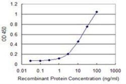 ZBP1/DLM-1/DAI Antibody (2C10), Novus Biologicals 0.1 mg; Unconjugated:Antibodies,