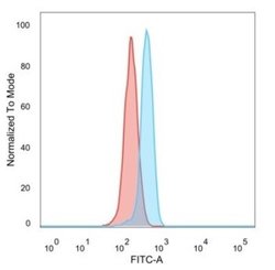 ZBTB39 Antibody (PCRP-ZBTB39-1A11) - Azide and BSA Free, Novus Biologicals