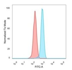 ZBTB46 Antibody (PCRP-ZBTB46-2B8) - Azide and BSA Free, Novus Biologicals