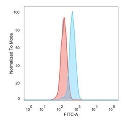 ZBTB7C Antibody (PCRP-ZBTB7C-4E12) - Azide and BSA Free, Novus Biologicals 100 &mu;g | Buy Online | Novus Biologicals | Fisher Scientific