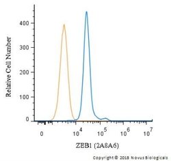 ZEB1 Antibody (2A8A6) - Azide and BSA Free, Novus Biologicals 0.1 mL; Unconjugated:Antibodies,