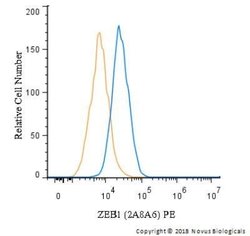 ZEB1 Antibody (2A8A6) - Azide and BSA Free, Novus Biologicals 0.1 mL; Unconjugated:Antibodies,