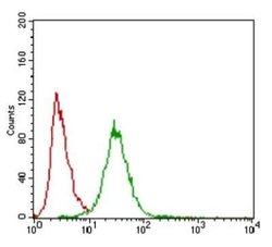 ZEB1 Antibody (2A8A6) - Azide and BSA Free, Novus Biologicals 0.1 mL; Unconjugated:Antibodies,