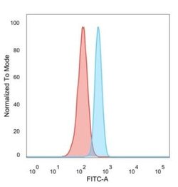 ZFP64 Mouse anti-Human, Clone: PCRP-ZFP64-1H2, Novus Biologicals:Antibodies:Primary