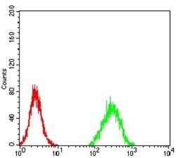 ZFP91 Antibody (7G11H2) - BSA Free, Novus Biologicals 0.1 ml; Unconjugated:Antibodies,