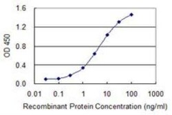 ZNDR1 Antibody (6C12), Novus Biologicals 0.1 mg; Unconjugated:Antibodies,
