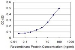 ZNF346 Antibody (2D10), Novus Biologicals 0.1 mg | Buy Online | Novus Biologicals | Fisher Scientific