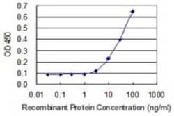 ZNF350 Antibody (1A9), Novus Biologicals 0.1 mg | Buy Online | Novus Biologicals | Fisher Scientific
