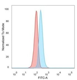 ZNF408 Antibody (PCRP-ZNF408-1E5) - Azide and BSA Free, Novus Biologicals
