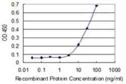 ZNF587 Antibody (3A3), Novus Biologicals 0.1 mg; Unconjugated:Antibodies,