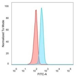 ZNF704 Mouse anti-Human, Clone: PCRP-ZNF704-3C10, Novus Biologicals:Antibodies:Primary