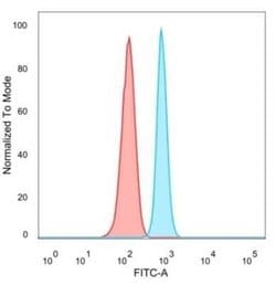 ZNF81 Mouse anti-Human, Clone: PCRP-ZNF81-2C7, Novus Biologicals 20 &mu;g;