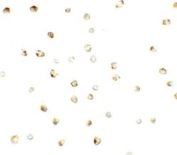 ZNF821 Antibody - BSA Free, Novus Biologicals 0.1 mg | Buy Online | Novus Biologicals | Fisher Scientific