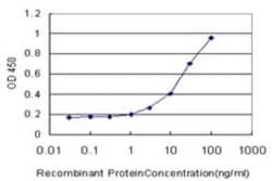 ZWILCH Antibody (1C9), Novus Biologicals 0.1 mg, Unconjugated:Antibodies,