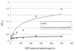 Zika Virus (H/PF/2013) Envelope Antibody (GT363), Novus Biologicals 100 &mu;g | Buy Online | Novus Biologicals | Fisher Scientific