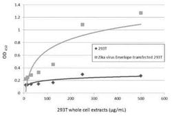 Zika Virus (H/PF/2013) Envelope Antibody, Novus Biologicals 100 &mu;g | Buy Online | Bio-Techne | Fisher Scientific