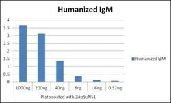 Zika Virus NS1 Human anti-Virus, Clone: B4, Novus Biologicals 0.1 mg | Buy Online | Novus Biologicals | Fisher Scientific