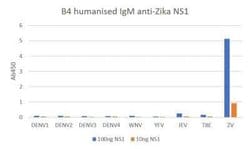 Zika Virus NS1 Human anti-Virus, Clone: B4, Novus Biologicals 0.1 mg | Buy Online | Novus Biologicals | Fisher Scientific