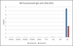 Zika Virus NS1 Human anti-Virus, Clone: B4, Novus Biologicals 0.25 mg | Buy Online | Novus Biologicals | Fisher Scientific