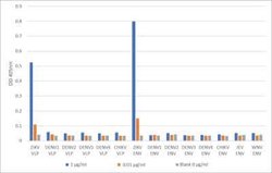 Zika Virus VLP Mouse anti-Virus, Clone: ID5-2-H7-G3, Novus Biologicals:Antibodies:Primary