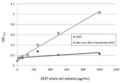 Zika virus (H/PF/2013) NS1 Antibody, Novus Biologicals 100 &mu;g | Buy Online | Bio-Techne | Fisher Scientific