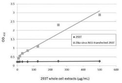 Zika virus (H/PF/2013) NS1 Antibody, Novus Biologicals 100 &mu;g | Buy Online | Novus Biologicals | Fisher Scientific
