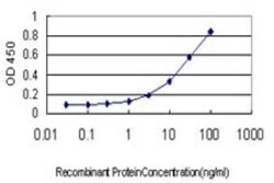 Novus Biologicals alpha-1A Adrenergic R/ADRA1A Antibody (4C7), Novus Biologicals 0.1 mg | Buy Online | Novus Biologicals&trade; | Fisher Scientific