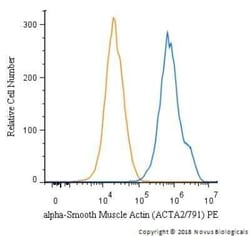 alpha-Smooth Muscle Actin Antibody (ACTA2/791), Novus Biologicals:Antibodies:Primary