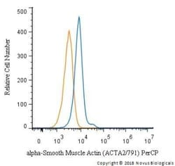 alpha-Smooth Muscle Actin Antibody (ACTA2/791), Novus Biologicals:Antibodies:Primary