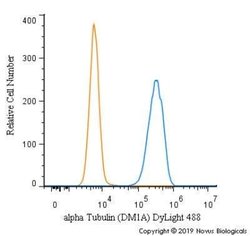 alpha Tubulin Antibody (DM1A) - Azide and BSA Free, Novus Biologicals 0.1 mL | Buy Online | Novus Biologicals | Fisher Scientific