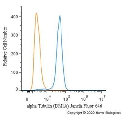 alpha Tubulin Antibody (DM1A) - Azide and BSA Free, Novus Biologicals 0.1 mL | Buy Online | Novus Biologicals | Fisher Scientific