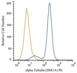 alpha Tubulin Antibody (DM1A) - Azide and BSA Free, Novus Biologicals 0.1 mL | Buy Online | Novus Biologicals | Fisher Scientific
