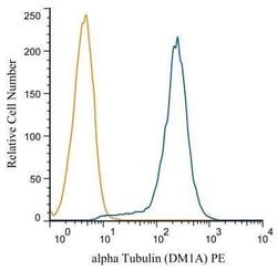 alpha Tubulin Antibody (DM1A) - Azide and BSA Free, Novus Biologicals 0.1 mL | Buy Online | Novus Biologicals | Fisher Scientific