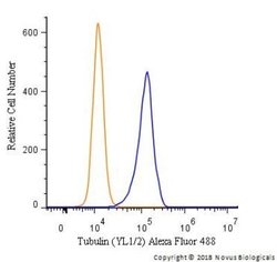 alpha Tubulin Antibody (YL1/2) - Azide and BSA Free, Novus Biologicals
