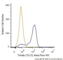 alpha Tubulin Antibody (YL1/2) - Azide and BSA Free, Novus Biologicals
