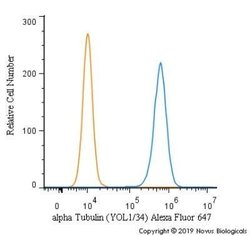 alpha Tubulin Antibody (YOL1/34) - Azide and BSA Free, Novus Biologicals