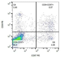 CD57 Antibody (TB01), Novus Biologicals 0.1 mg; Unconjugated:Antibodies,