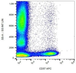 CD57 Antibody (TB01), Novus Biologicals 0.1 mg; Unconjugated:Antibodies,