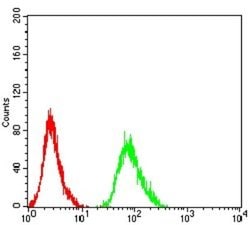 beta-2 Adrenergic R/ADRB2 Antibody (5G3B5) - BSA Free, Novus Biologicals