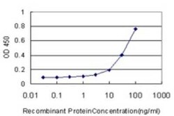 beta-Defensin 4/2 Antibody (4C4), Novus Biologicals 0.1 mg | Buy Online | Novus Biologicals | Fisher Scientific